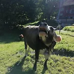 Ferien Im Paradies * Brienzwiler