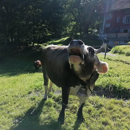 Ferien Im Paradies * Brienzwiler