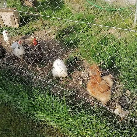 Apartmán Ferien Im Paradies *