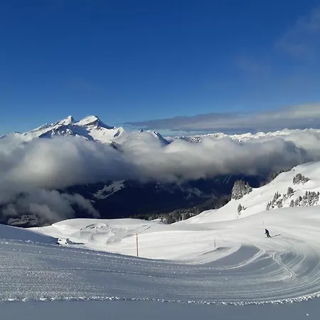 Ferien Im Paradies Apartamento Brienzwiler
