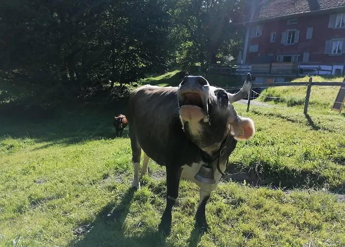 Ferien Im Paradies * Brienzwiler