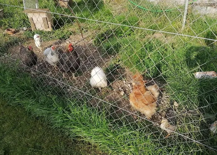 Apartman Ferien Im Paradies *