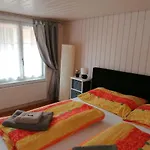 Ferien Im Paradies アパート Brienzwiler