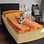 Ferien Im Paradies